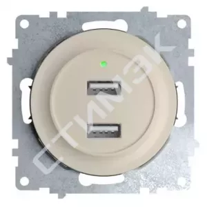 Рамка одинарная, цвет серый 1E52101302 OneKeyElectro (2172851) - купить в Екатеринбурге, Тюмени, Челябинске, Перми. Розетка USB двойная, с подсветкой, цвет бежевый 1E10351301 OneKeyElectro