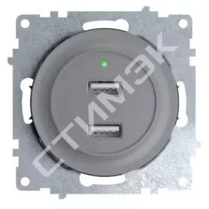 Розетка USB двойная, с подсветкой, цвет серый 1E10351302 OneKeyElectro