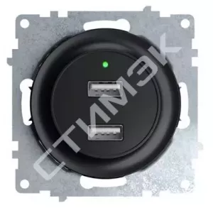 Рамка горизонтальная стеклянная на 5 приборов, цвет серый Garda 2E52501302 OneKeyElectro (2234938) - купить в Екатеринбурге, Тюмени, Челябинске, Перми. Розетка USB двойная, с подсветкой, цвет черный 1E10351303 OneKeyElectro