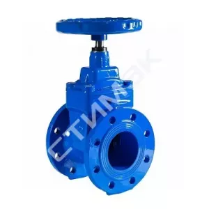 Задвижка чугунная с обрезиненным клином тип RSV04 PN10/16 DN80 080RSV04 REON